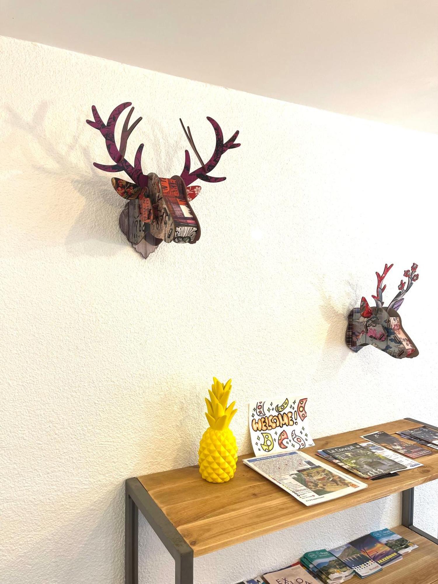 Appartement dans le quartier recherché du mouré Collioure Extérieur photo